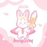 Bunpinky (Rpin)