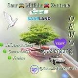 Saar 🚘 Mitfahr 🚖 Kanal