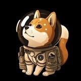SHIBNAUT $SHIBN