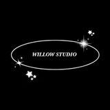 ⋆ ˚｡⋆୨ willow studio ୧⋆ ˚｡⋆