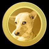 $ASPIN COIN CHAT