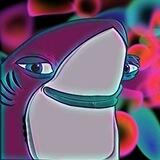Efsha shark | افشا شارک