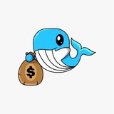 Whale 🐋 Pulse