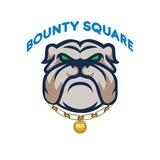 BountySquare ( Pinksale Fairlaunch - 1st March, 2023 )