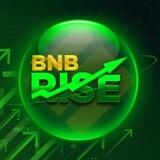 BNBRISE