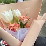 崽崽工作反馈
