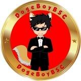 🇨🇳DogeboyBSC 中国社区