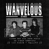 1US WANVELOUS