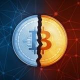 Half Bitcoin