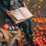 «Полка» - книги/романы, эстетика