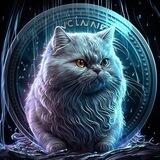 CHINCHILLA INU 中西拉