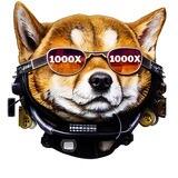 1000xInu