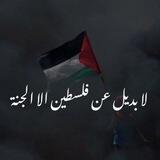 Ραℓєsτiиiαи𓂆🇵🇸