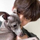 @Gyuvoin