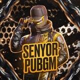 SENYOR PUBGM ⚔️
