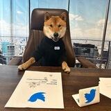 Floki New CEO Portal