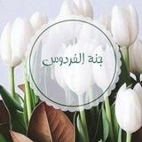 جنَّة الفردوس💚