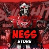 STOCK NESS STORE