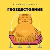 Мероприятия Котобюро