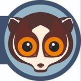 Центр ветеринарной офтальмологии «Лори»