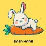 babyhare