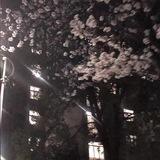 北天支拉37对接群