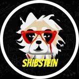 Shibstein Inu | E=MSHIB² 🧬