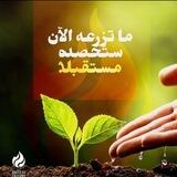 النماء بتجديد الأفكار والاستحقاق