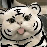 姚知拉手