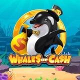 Whales of Cash | Portal