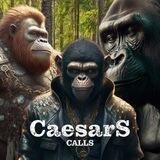 Caesars Calls Portal