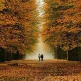 🍁🍂Кўнгил🍂🍁