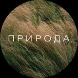 Проект «ПРИРОДА»