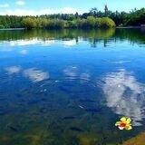 Water Global