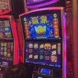 索莱尔 okada cod 云顶