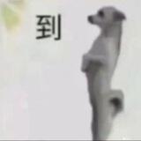 中文导航搜索 乱伦 人妖