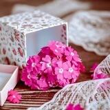 متجري الأصيل🥀🎁🥀