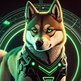 SHIBTOR | Portal