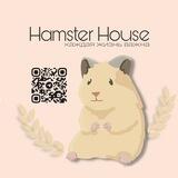Hamster House 🐹