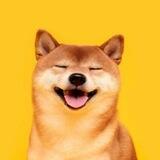 Shibainu $SHIBAINU