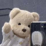 teddy