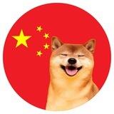 柴犬 | Shiba Inu