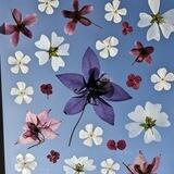 BLUMENWALZER