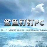 钉钉pc组/全天上号