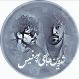 شروین حاجی پور | shervin hajipour