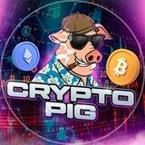 Crypto pig