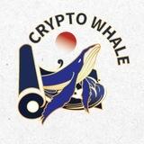 加密鲸🐋🐋ETH&BSC🇨🇳