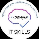 КОДИУМ 💻 Курсы программирования и математики 📐