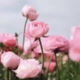 قمر | ☾ ☁︎