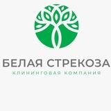 ''Белая стрекоза'' - Химчистка мебели